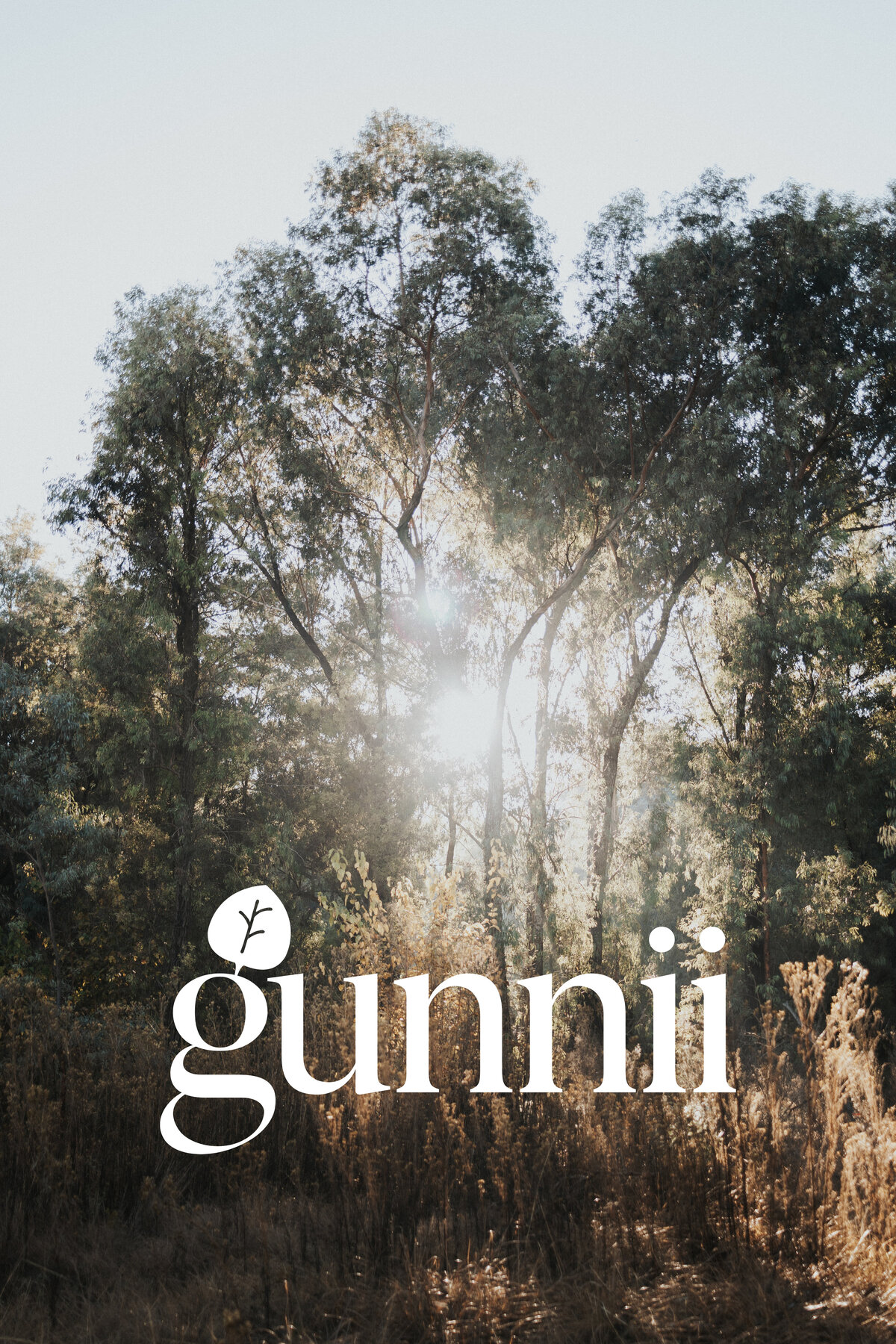 Gunnii Brand Collateral • Studio Rivet Folio
