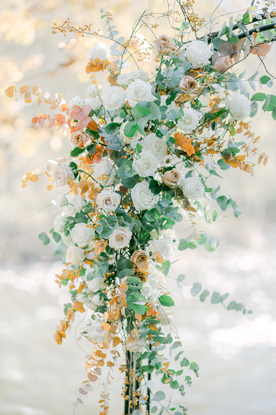 Michellia_Rockwood_Farm-094