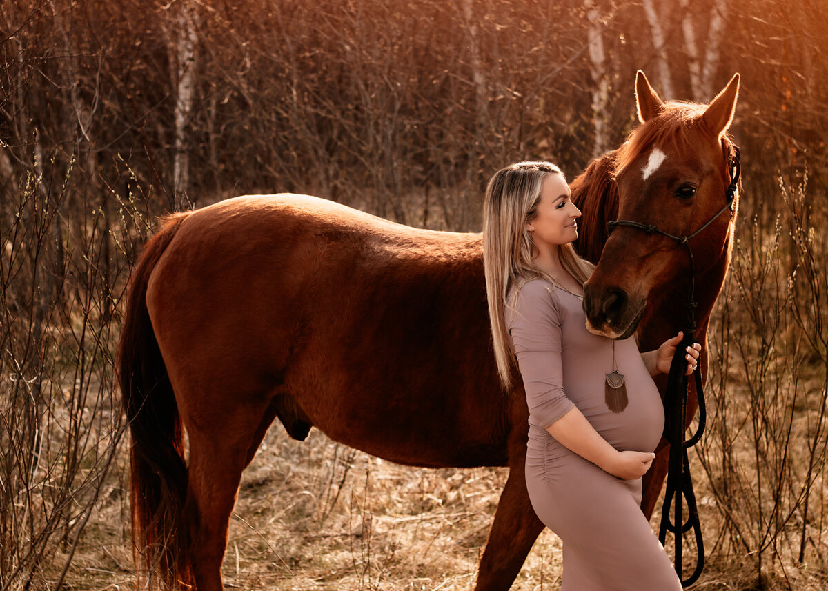 Horse Maternity Session in Minnesota
