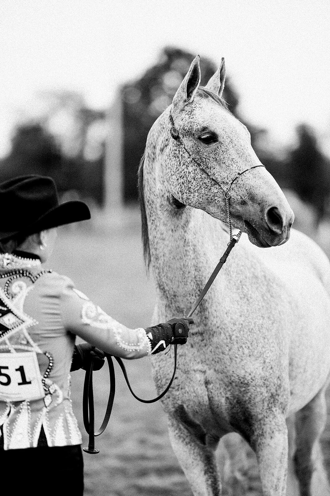 Equestrian Photography184