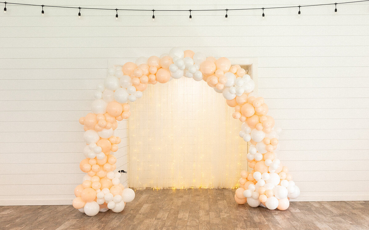 tampa-lakeland-orlando-wedding-photographer-engagement-madison-cole-photography-6