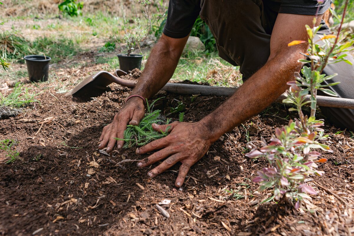 The-Ripe-Org-Farm-Ventura-California-Santa-Paula-Non-Profit-0027