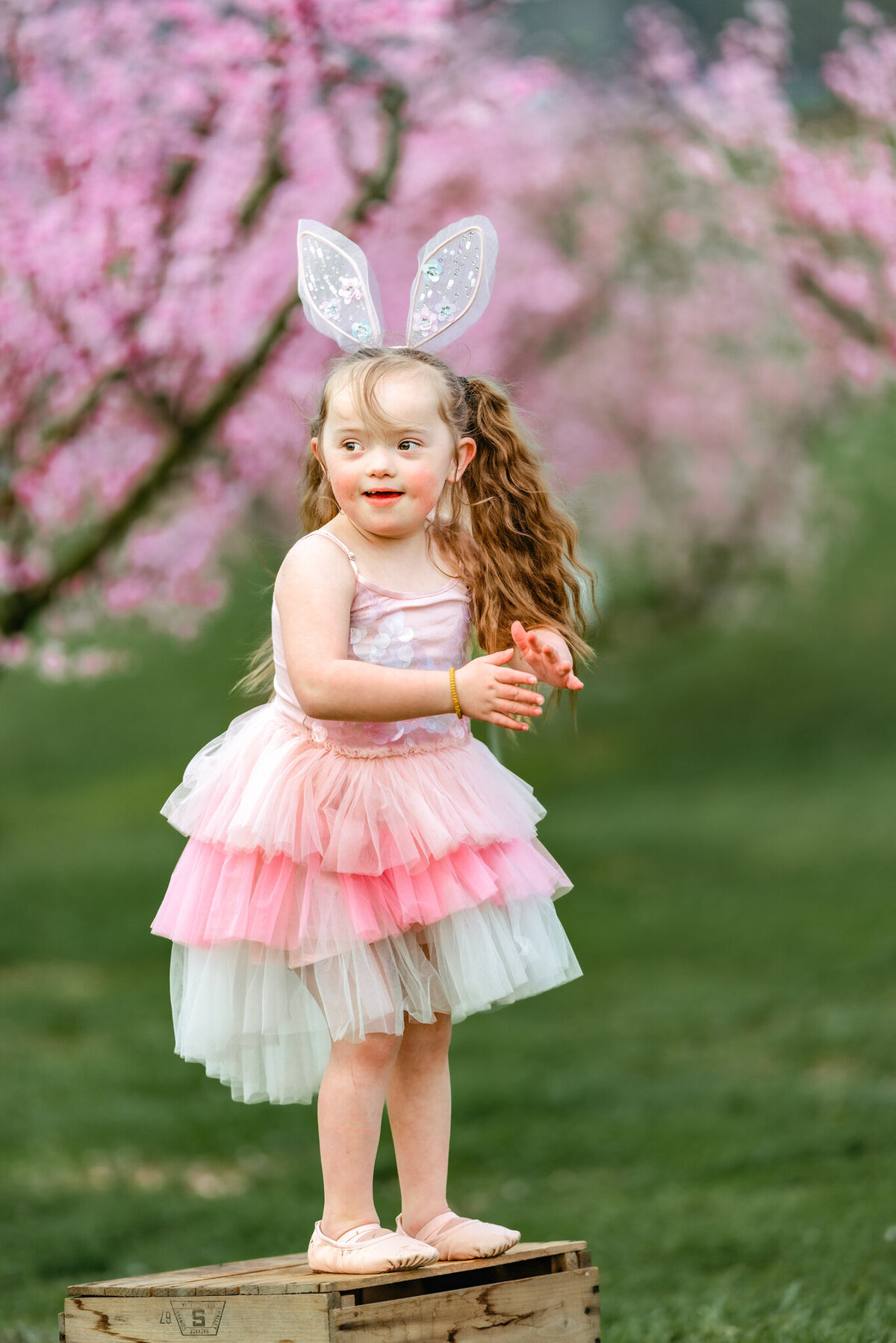 Raleigh-family-photographer-1403