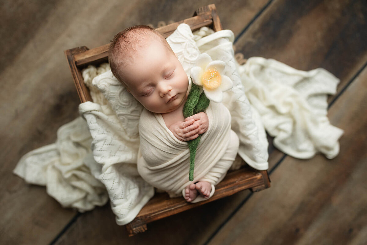 A newborn baby girl holds a felted daffodil while posed in a crate during her newborn session.