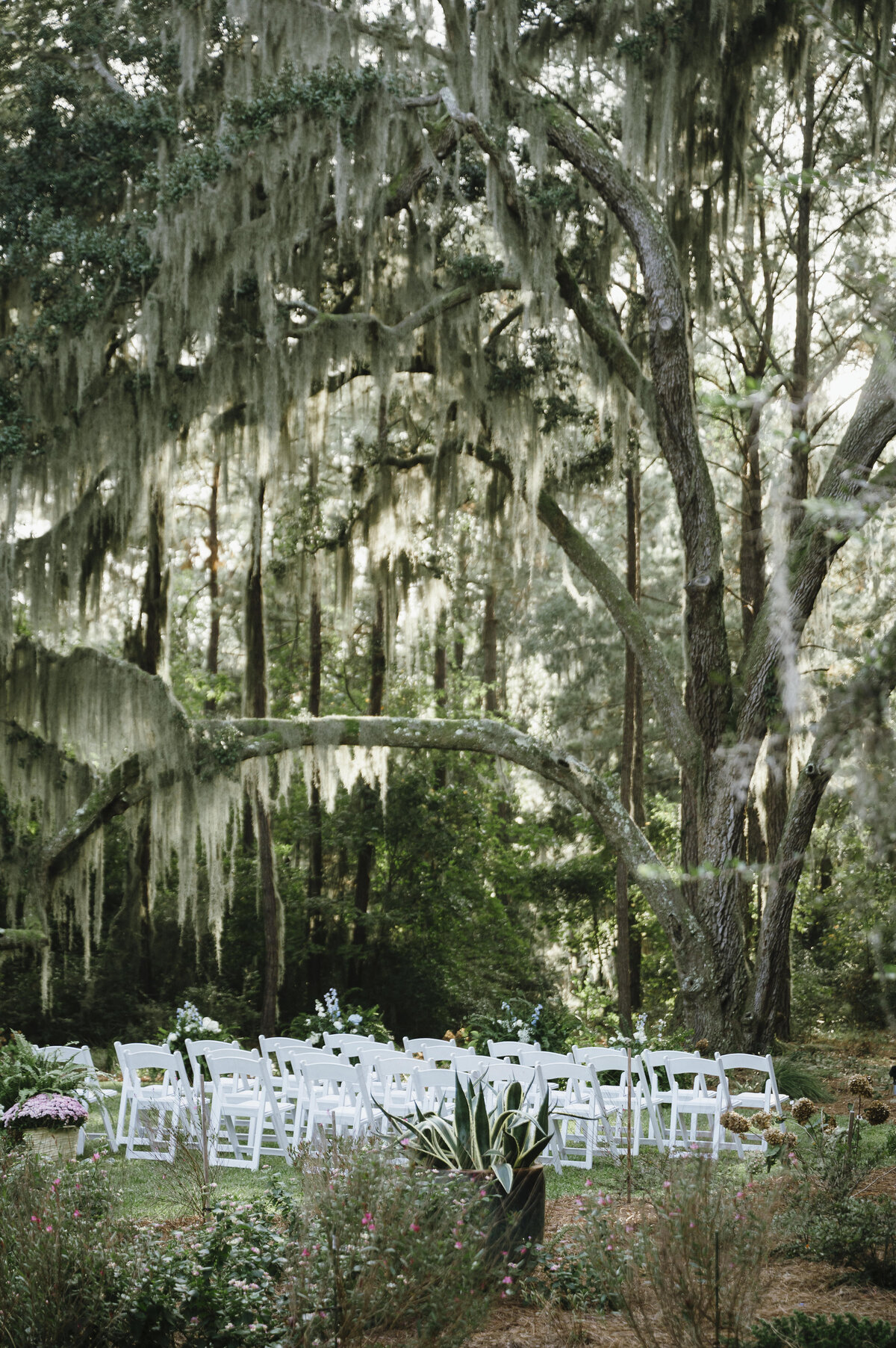 Savannah Georgia Wedding Photographer