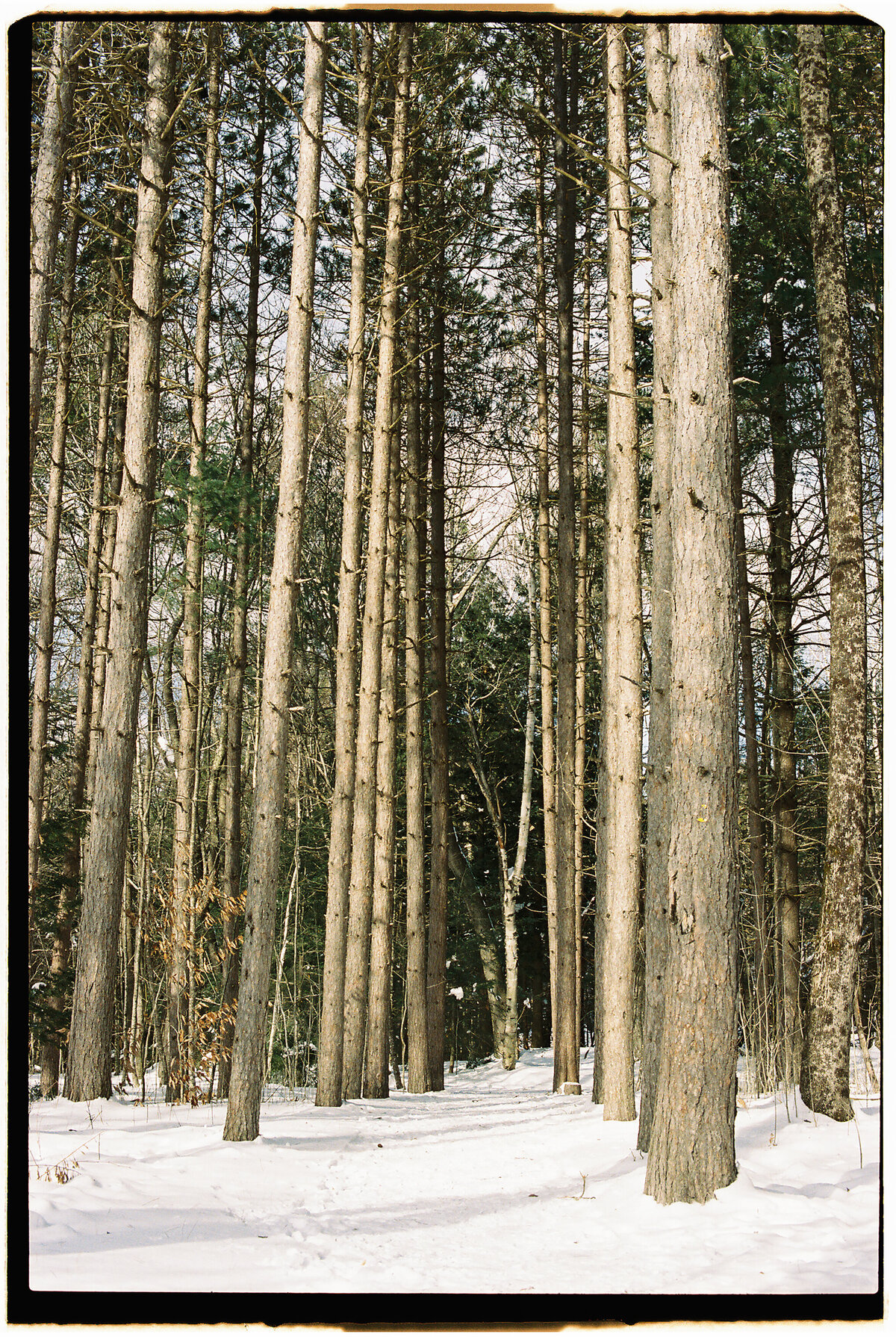 kaaterskill-falls-new-york-catskill-mountains-jamie-shields-photography