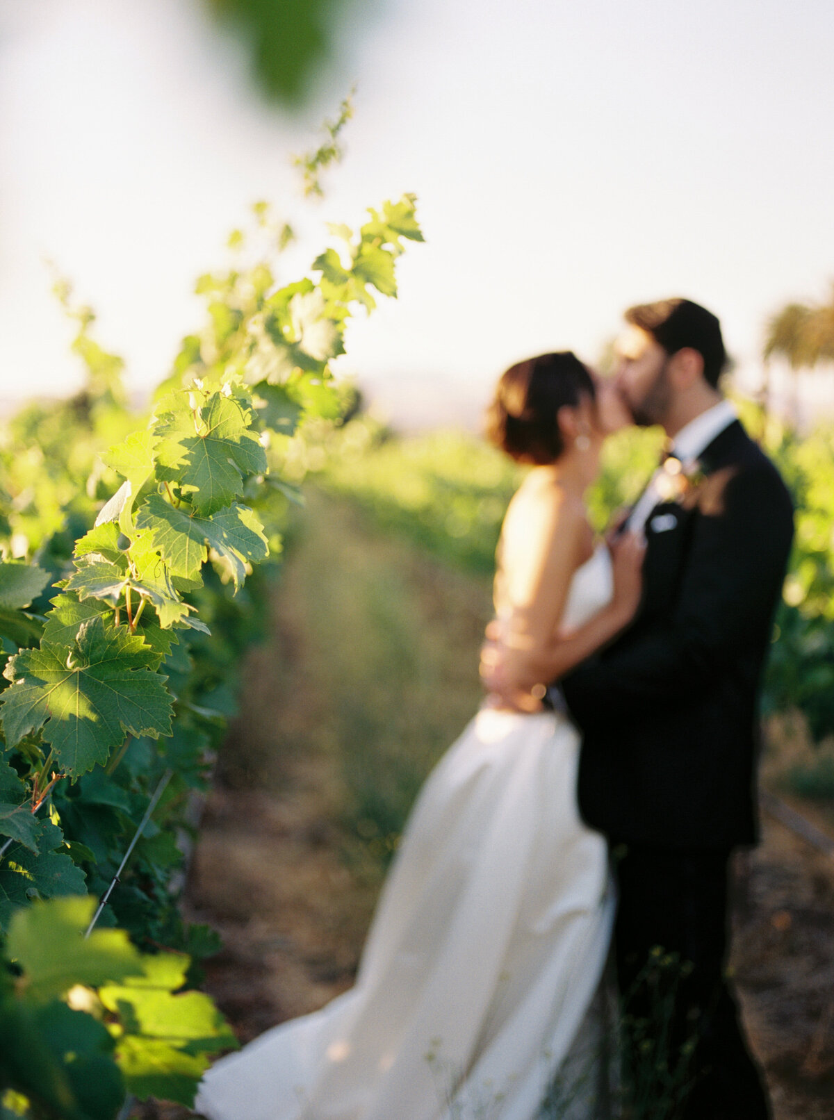 Lizzie Baker Photography _ Tori & Kevin Wedding _ 6.28.2025 _ California Wedding Photographer _ Sonoma Wedding Photographer _ California Winery Wedding Photographer-478