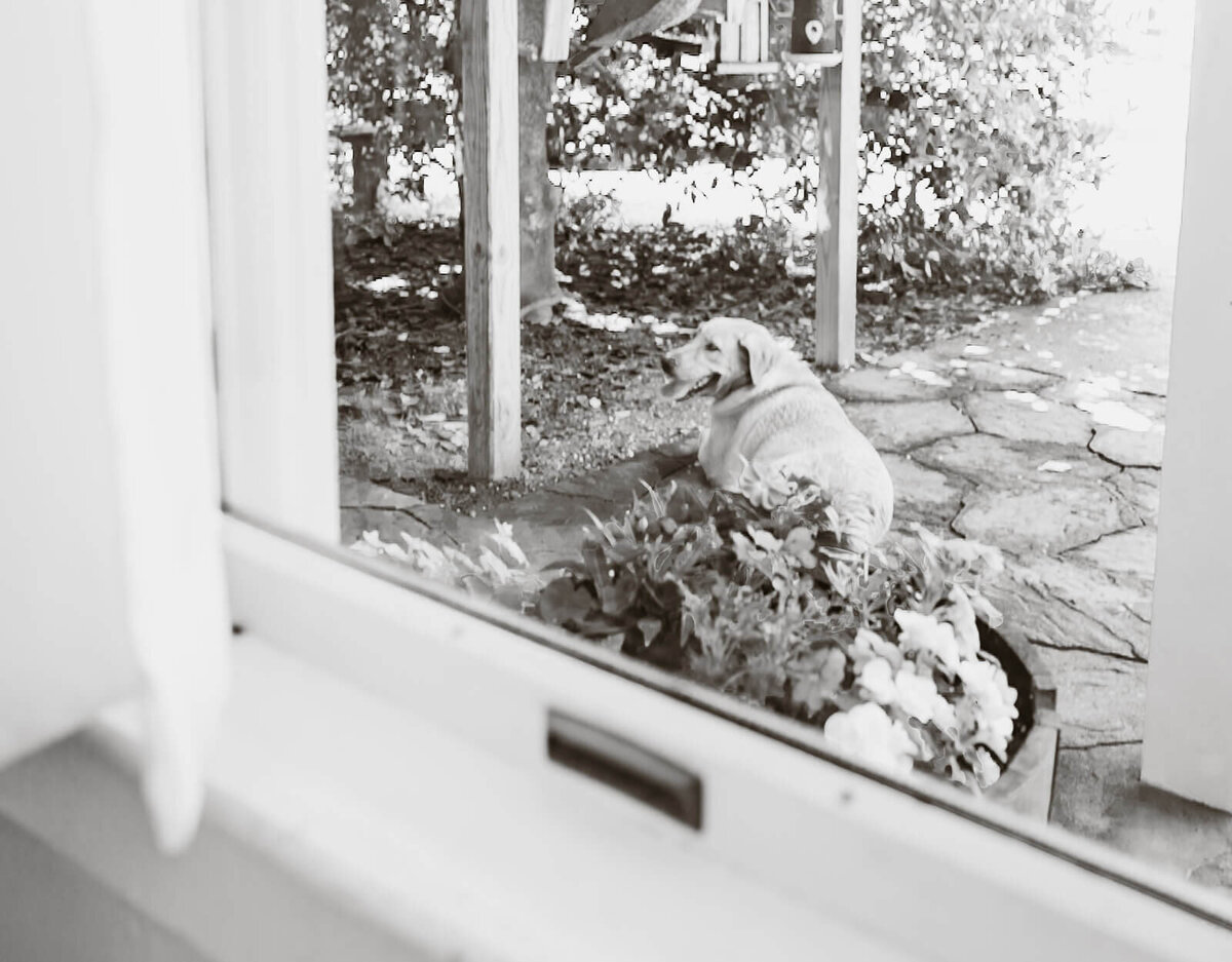 Makayla Maya Nia-Group-3156