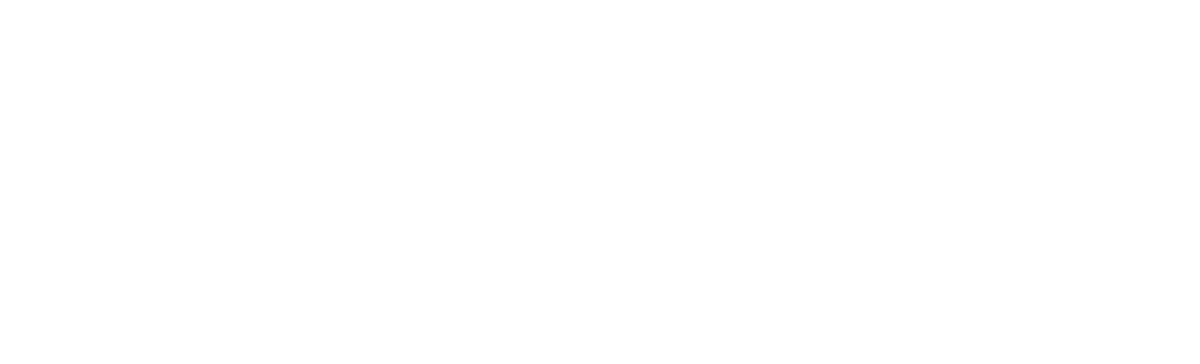 Logo_Lifetime_White