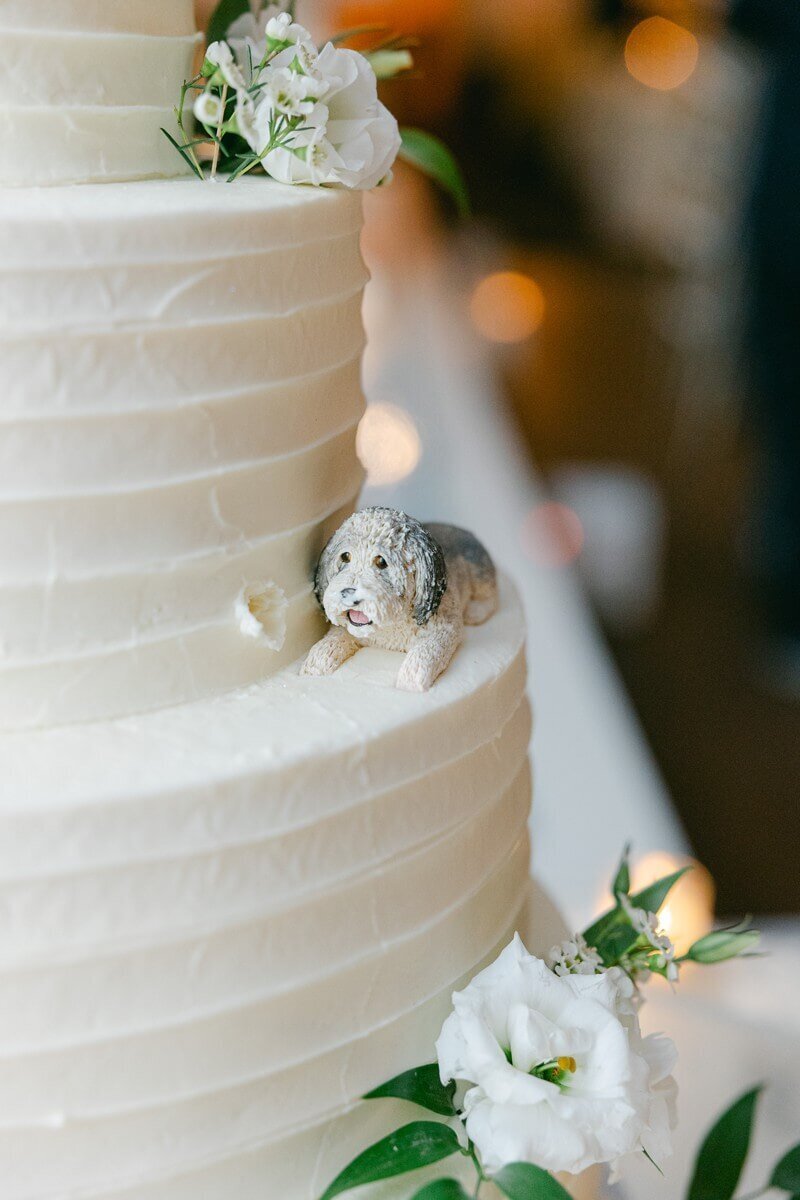 Ballroom at the Ben Wedding_Sarah Canning Photography_0013