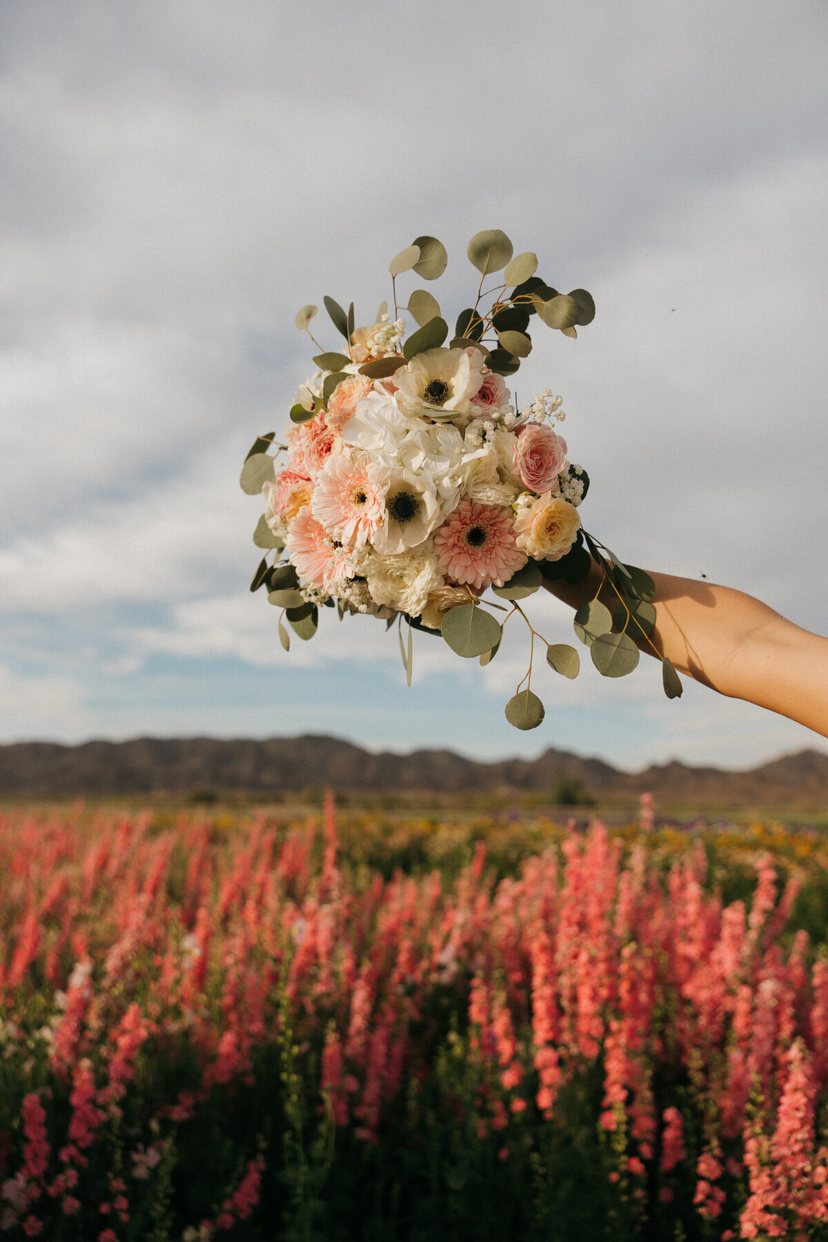 desert-wedding-photography-arizona-4