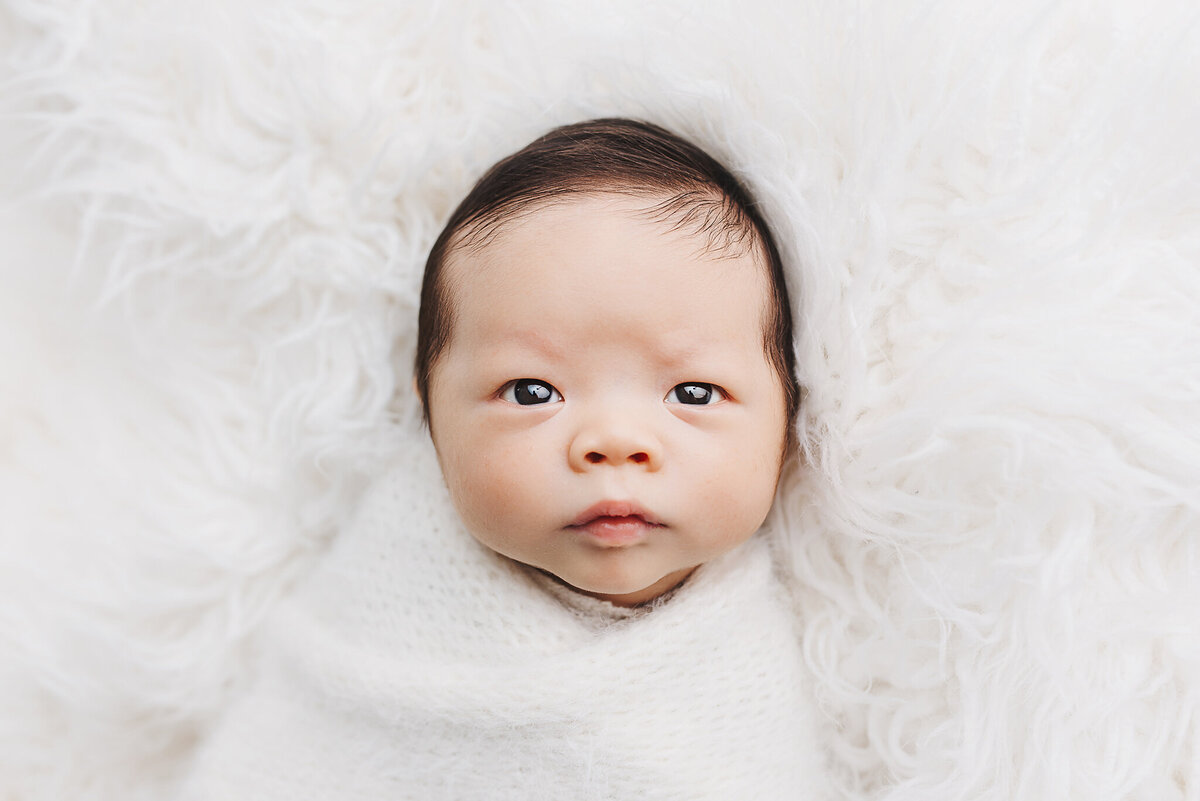 dfw newborn photographer 2