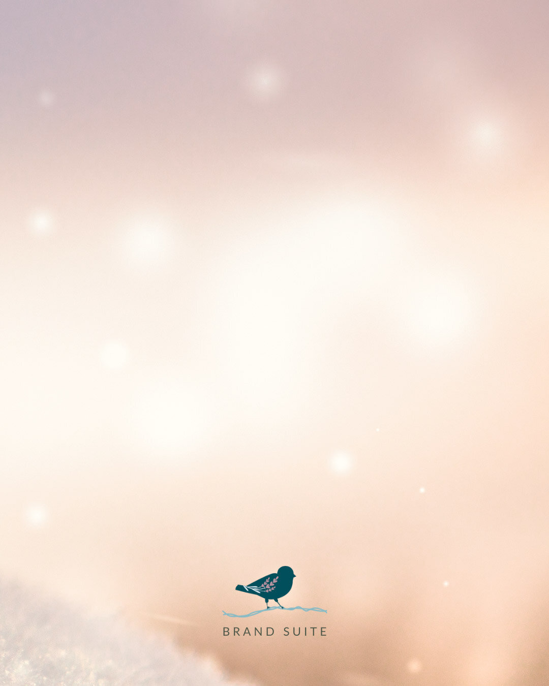 baer-brand-studio-bird-on-a-wire-brandmark-signature-package