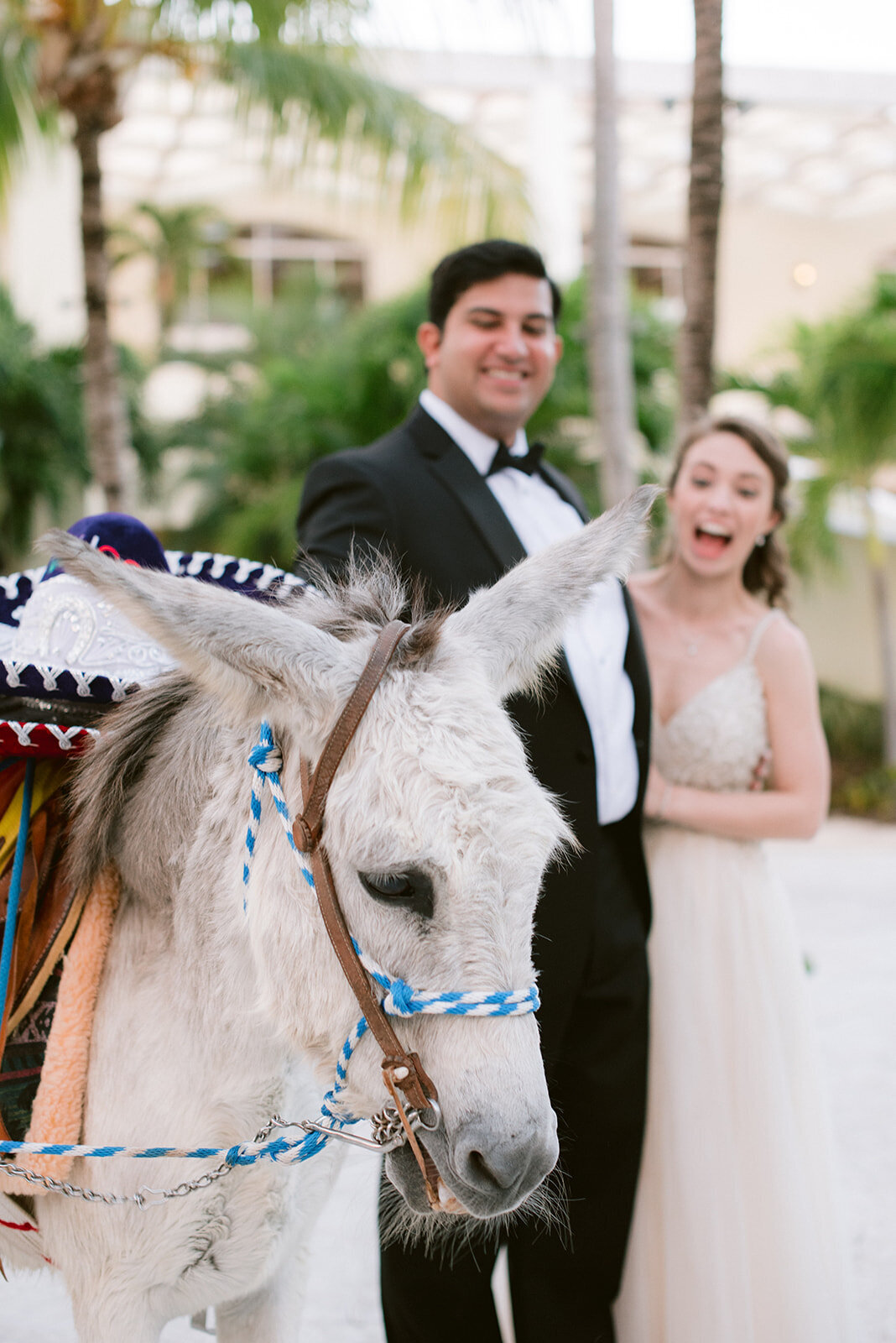 destination-wedding-mexico49