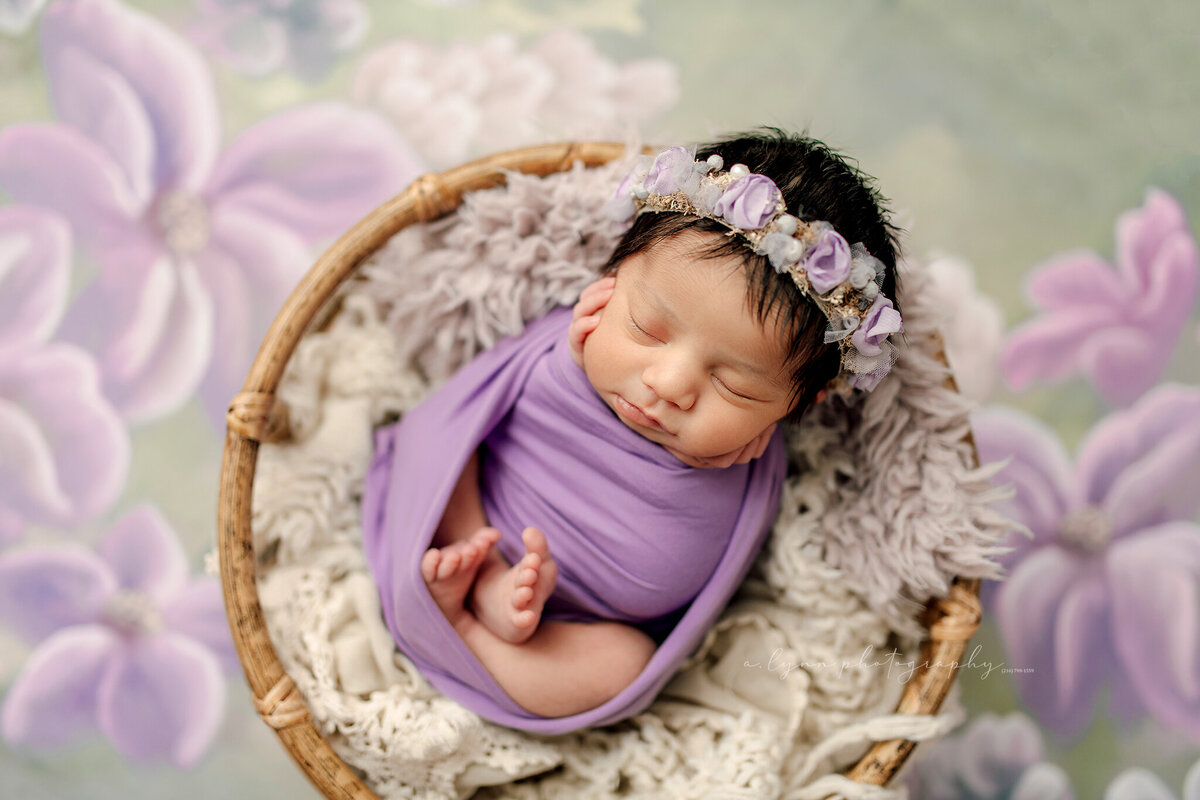 newborn photographer cleveland ALP_9126 copy2