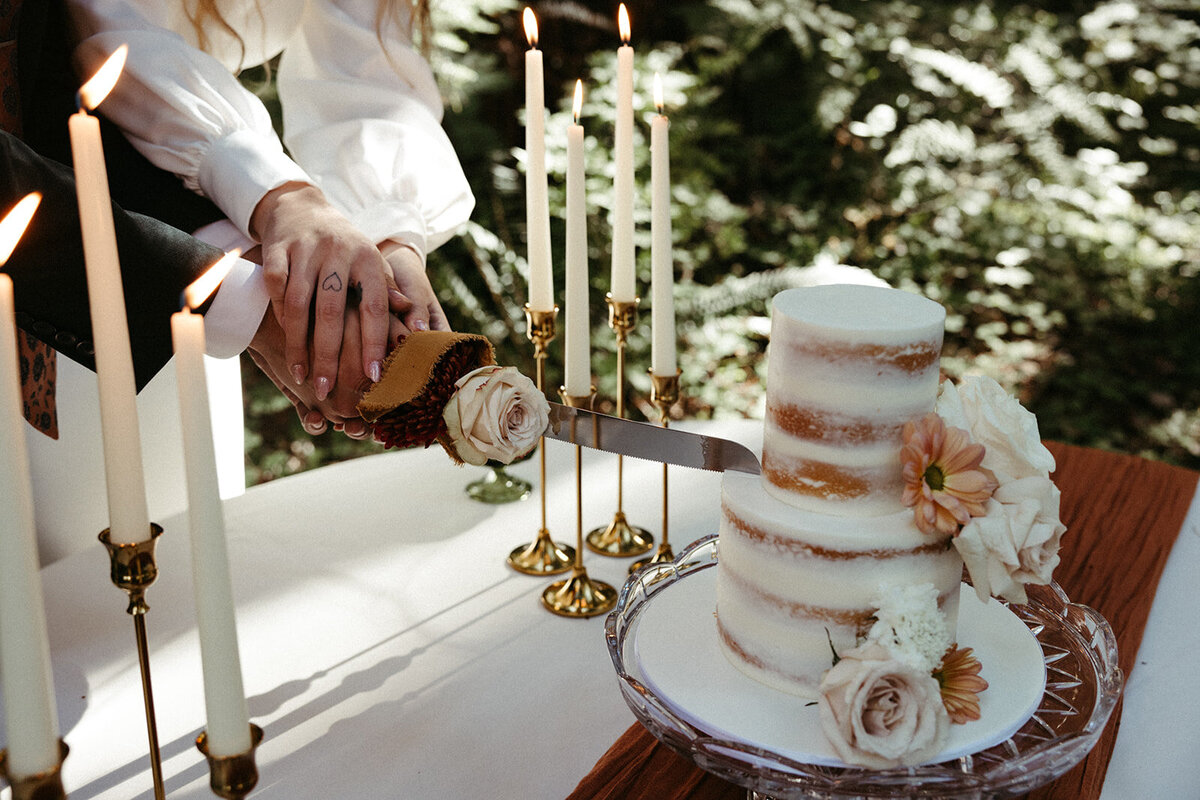 MtRainierSmallWedding-DallinHazard-525