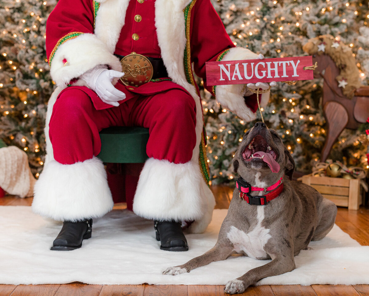 FoxBrazen_SantaMGExperience2024Morgan_0143a