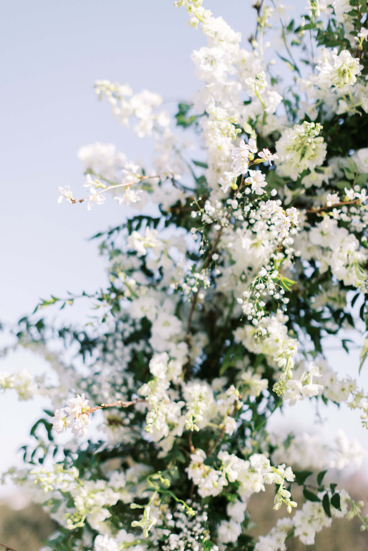 Lisa-Leanne-Photography_Bel-Air-Country-Club-Wedding_Los-Angeles-Wedding_Southern-California-Wedding-Photographer_39