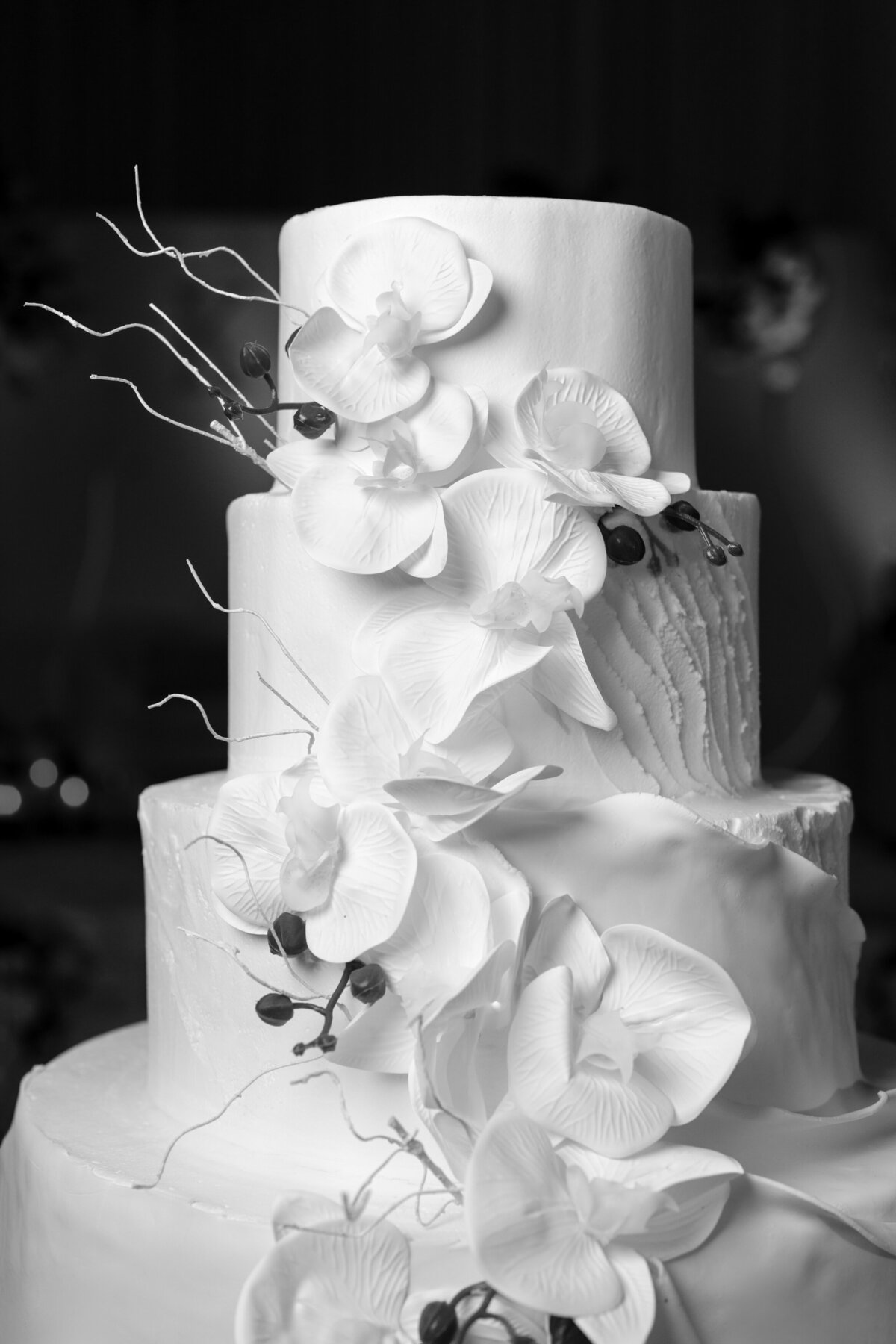Berlez-Aspen-Avenue-Chicago-Wedding-Photographer-Windy-City-Wedding-Dance-Fulton-West-Event-Christmas-Session-140
