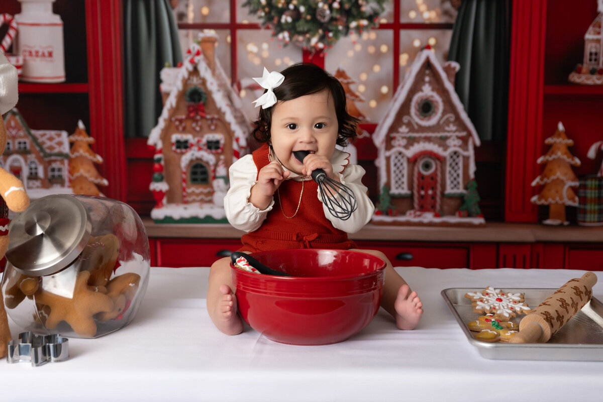 Chicago-Family-Photographer-12