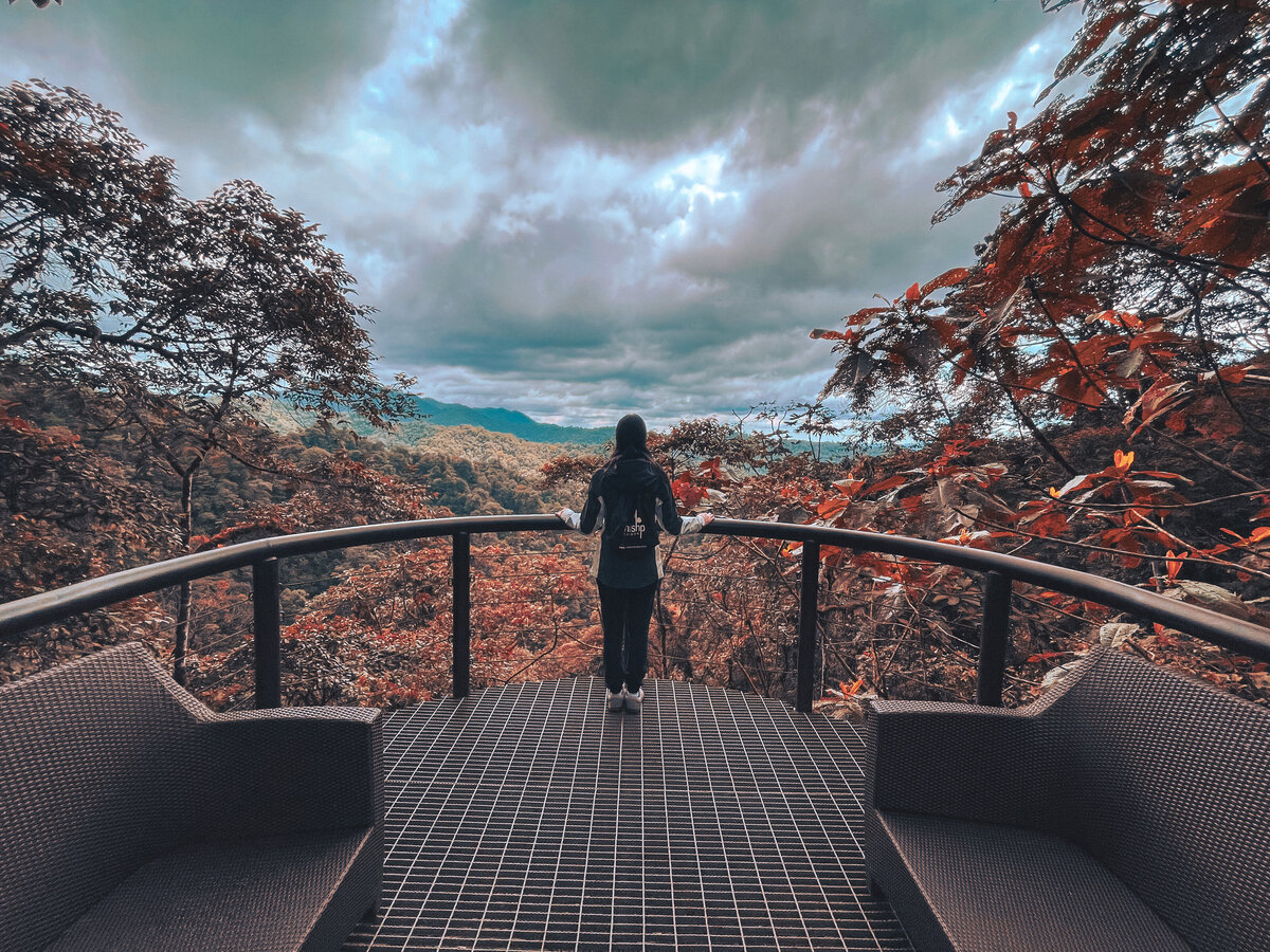 Waterstone - Mashpi Lodge - Mashpi Reserve - Ecuador - Luxury Boutique Hotel - IMG_8660