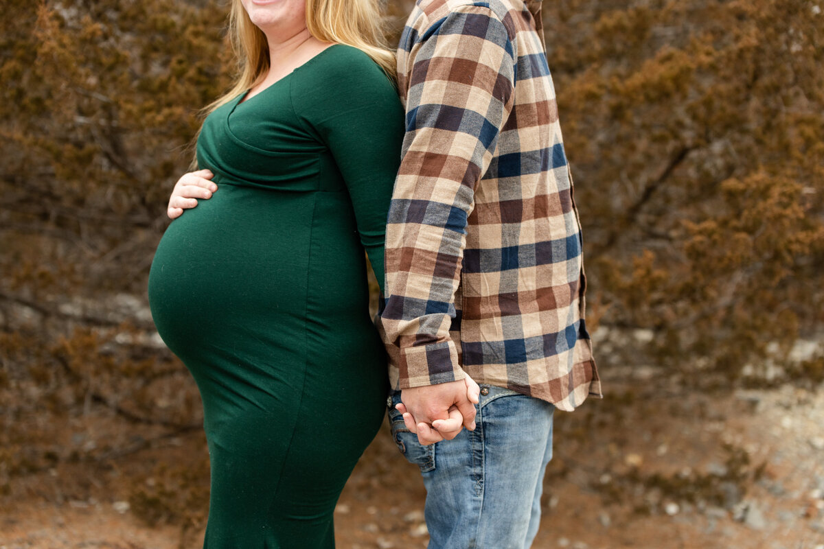 Maternity Portrait