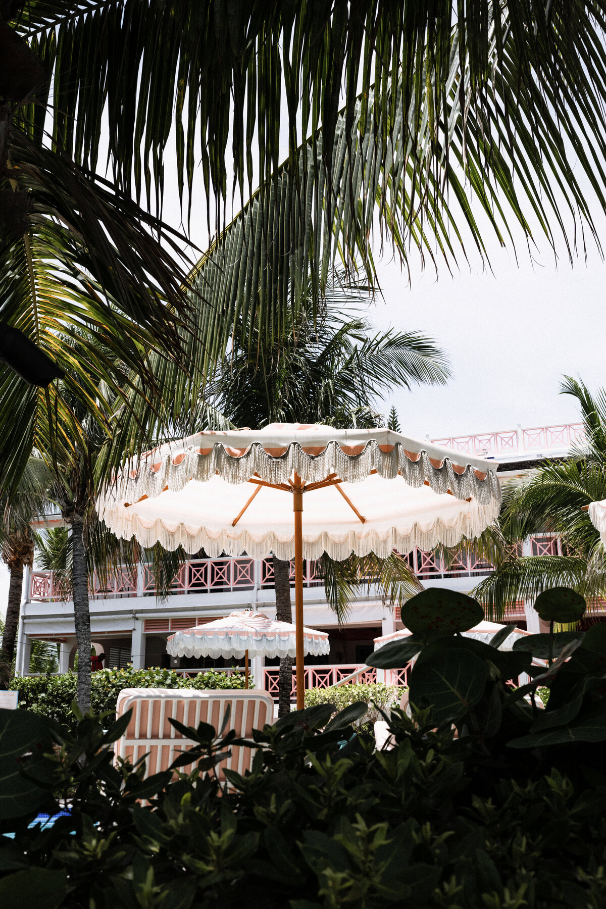 CORAL SANDS-(23 of 68)