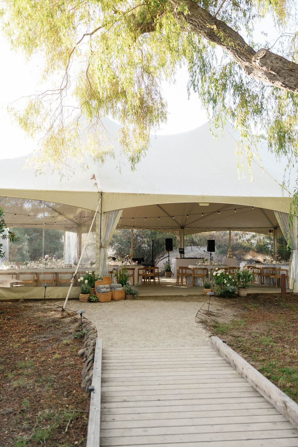 Trinity-Will-Previews-31