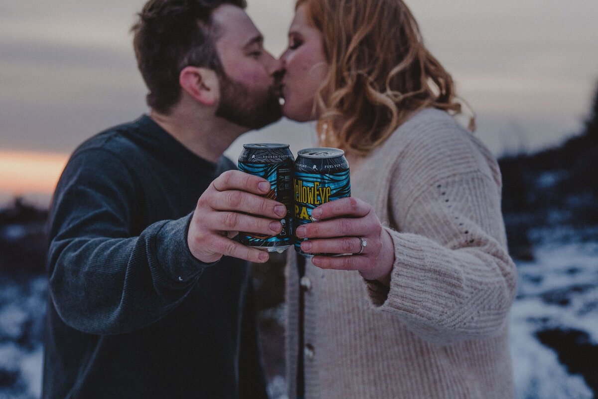 162AlaskaMountain EngagementGlen Alps