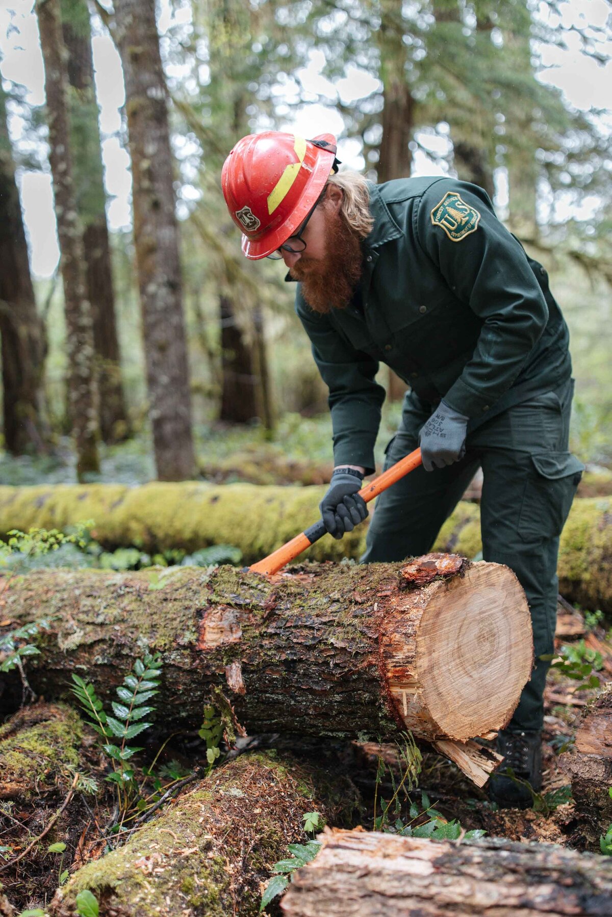 pacific-crest-trail-association-work-crews-hike-2