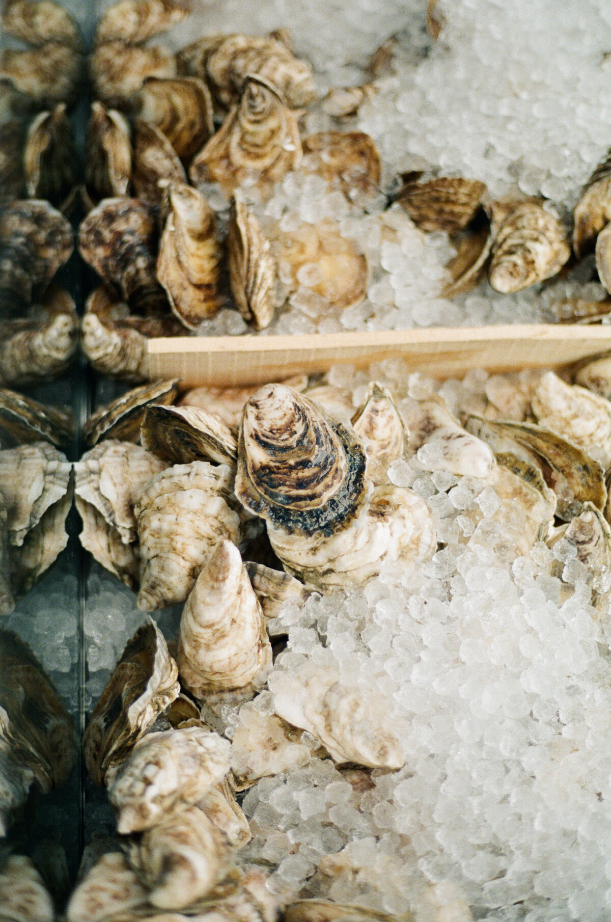 Delaware Restaurant Photography, Lewes Oyster House_139774
