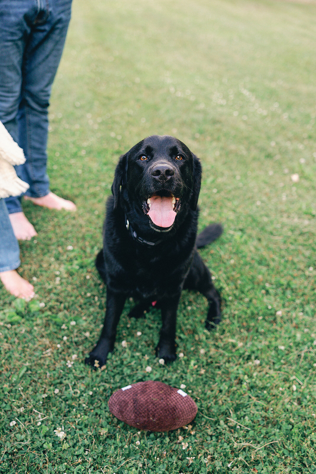 Grosse-Pointe-Engagement-Elise-Filliccia-Photography-154