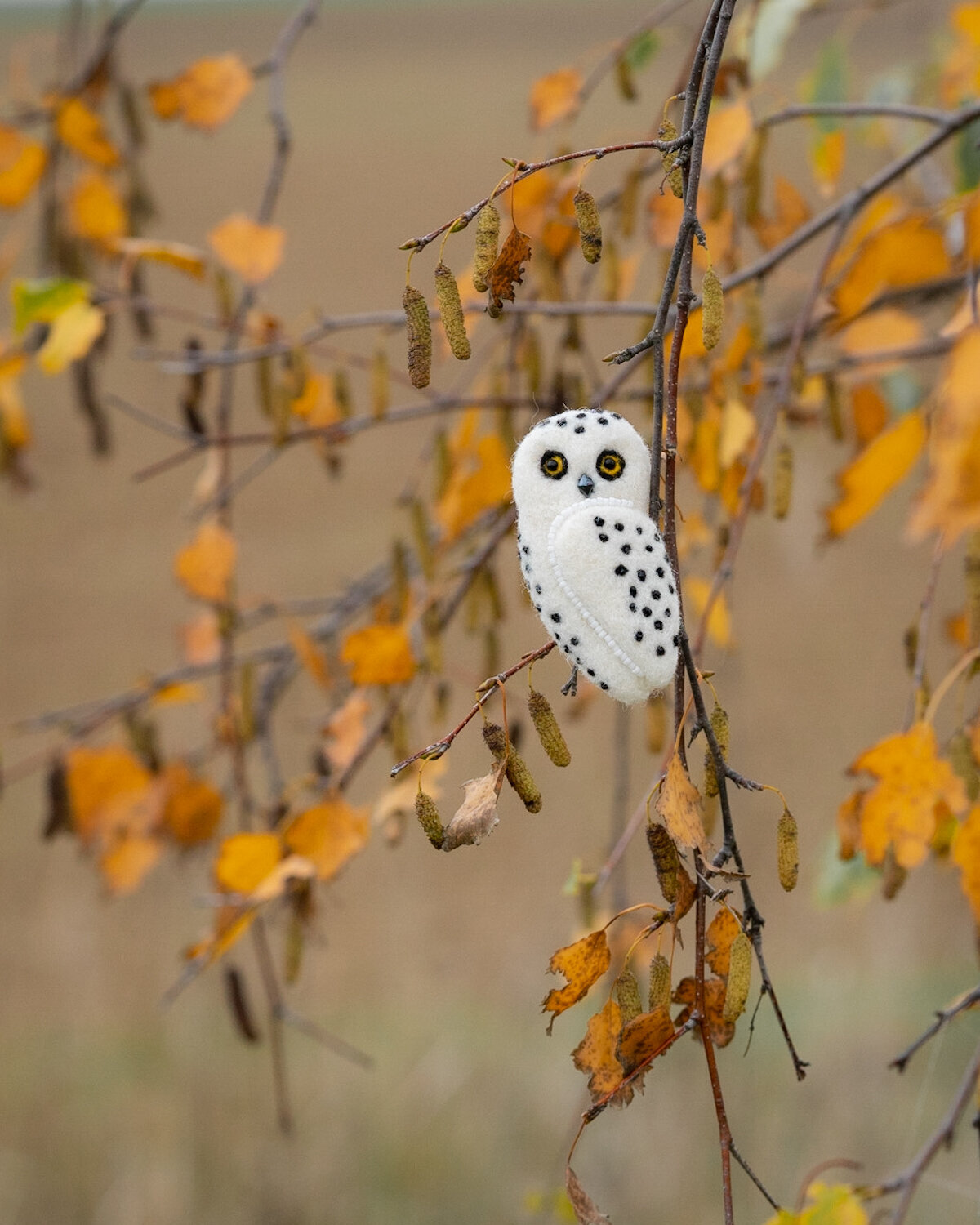 Bird_on_Birch_broz_ptacek_birdbrooch_owl-1