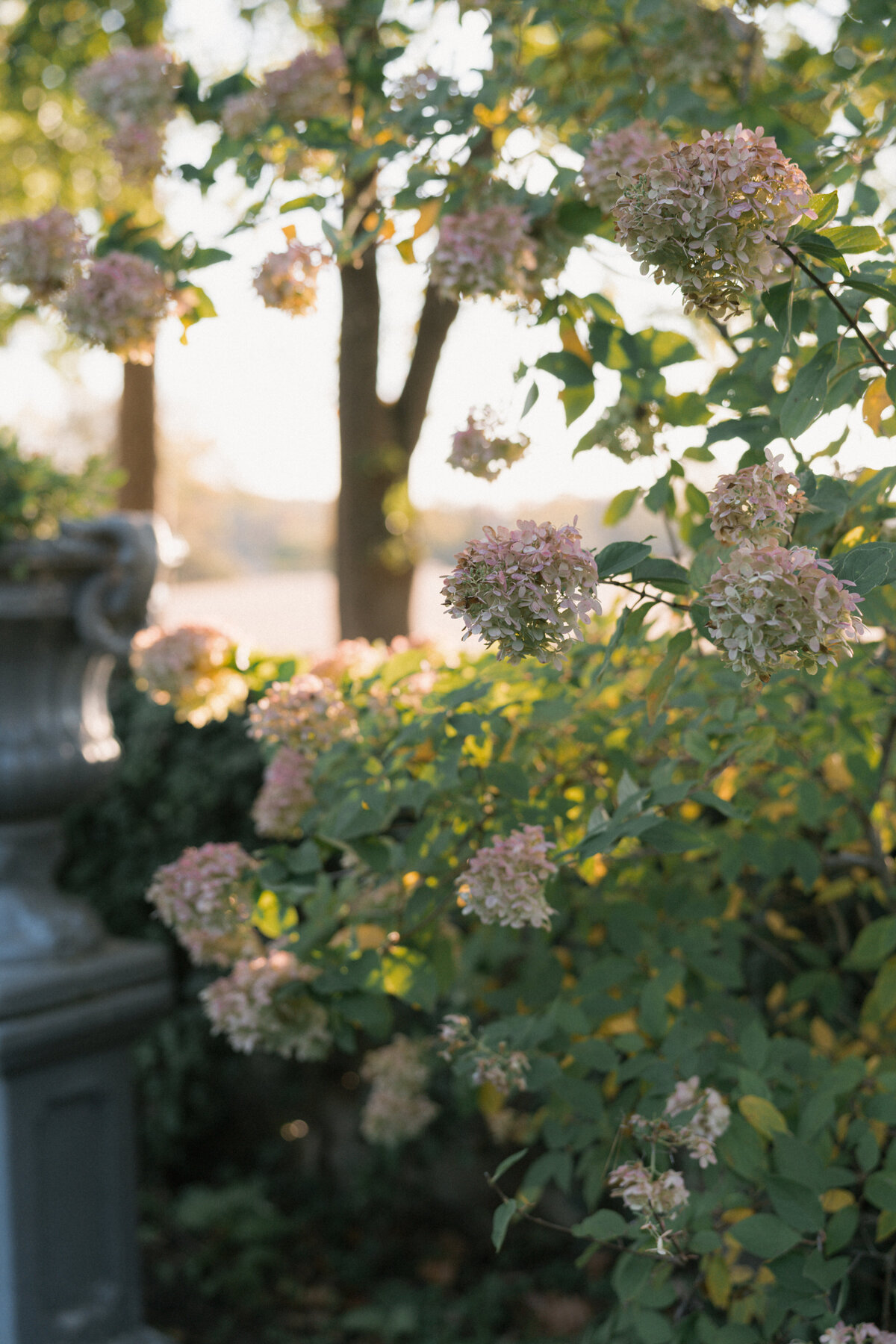 Grace & Ardor Co. East Coast Wedding Engagement Photography Pennsylvania New York City New Jersey Timeless Bold Art Direction Editorial Erin McGeever New Hope Hotel du Village Stockton Lambertville-76
