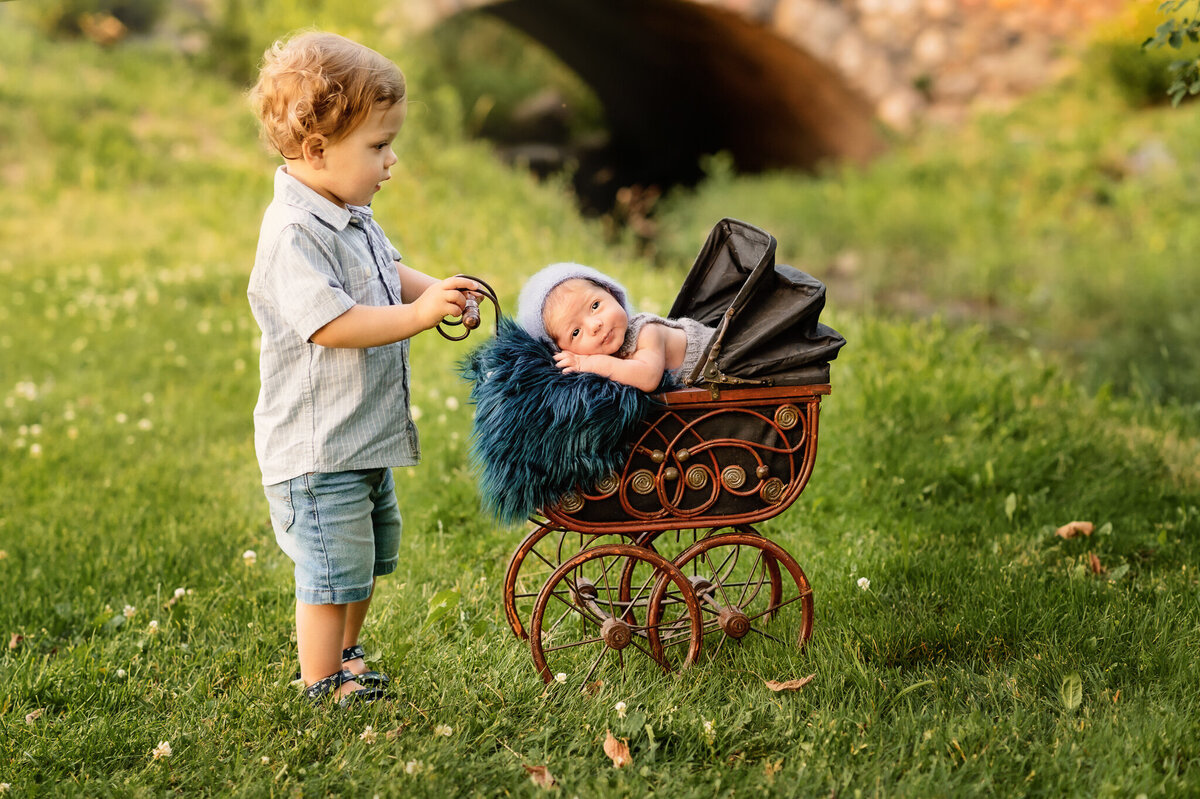 Toddler boy pushing his baby brother in a carriage outdoors in Niagara region.