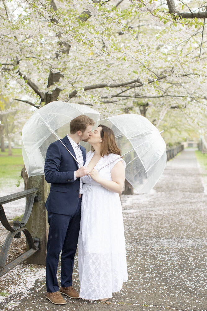 cheery blossom spring portraits of couple with umbrellas