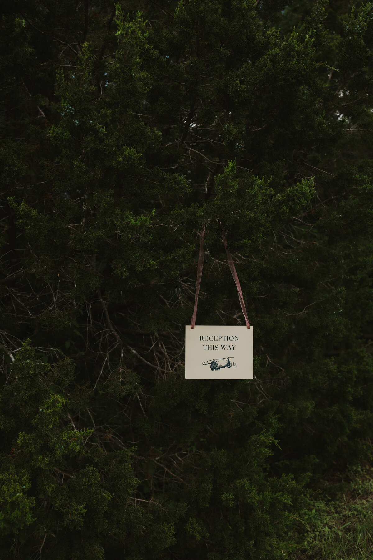 Abby Heron Photography Texas Based and Travel Wedding and Couples Photographer — Wedding Gallery for Ethan + Lily 26