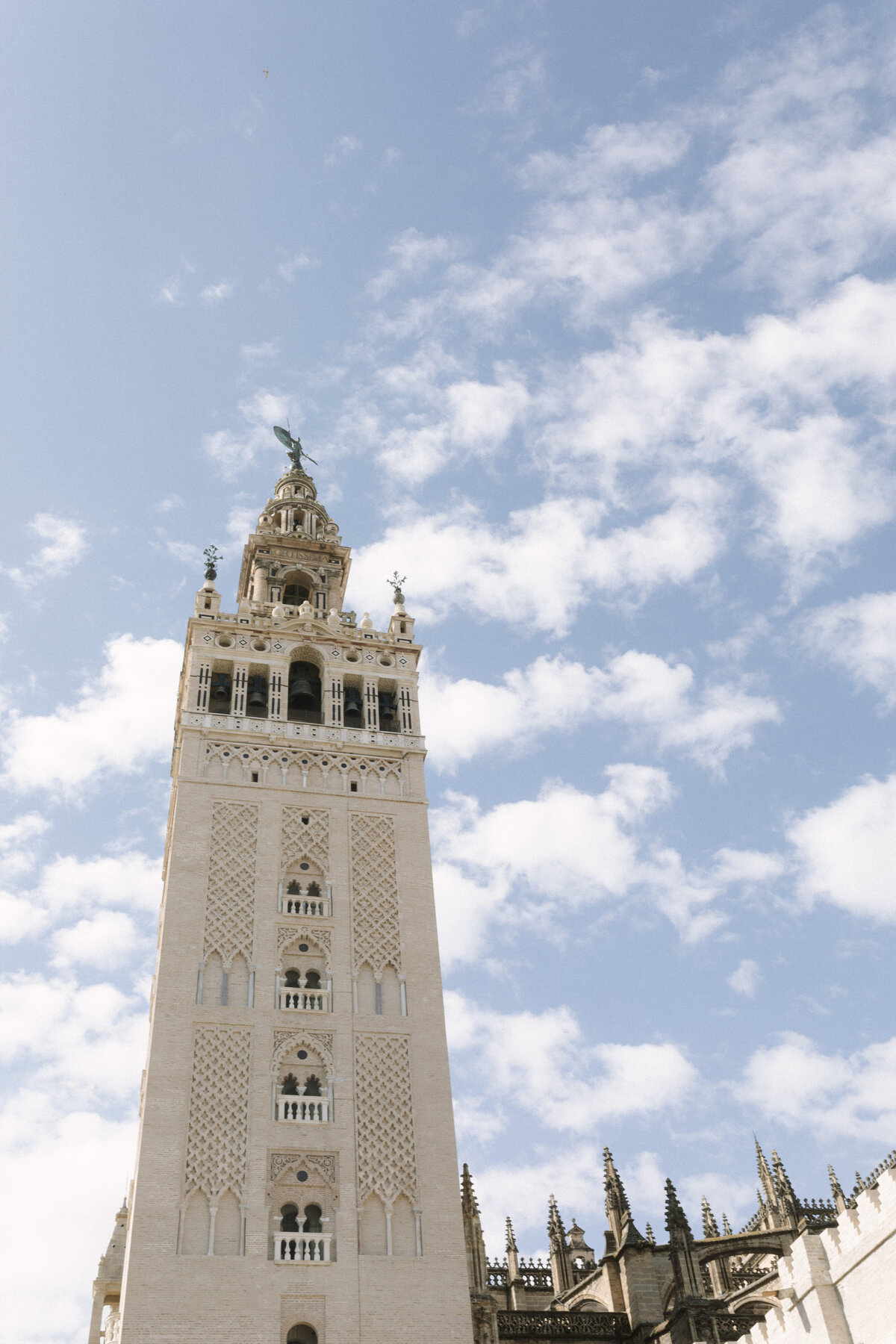 Aixa & Amer _GGWeddings_2025-227