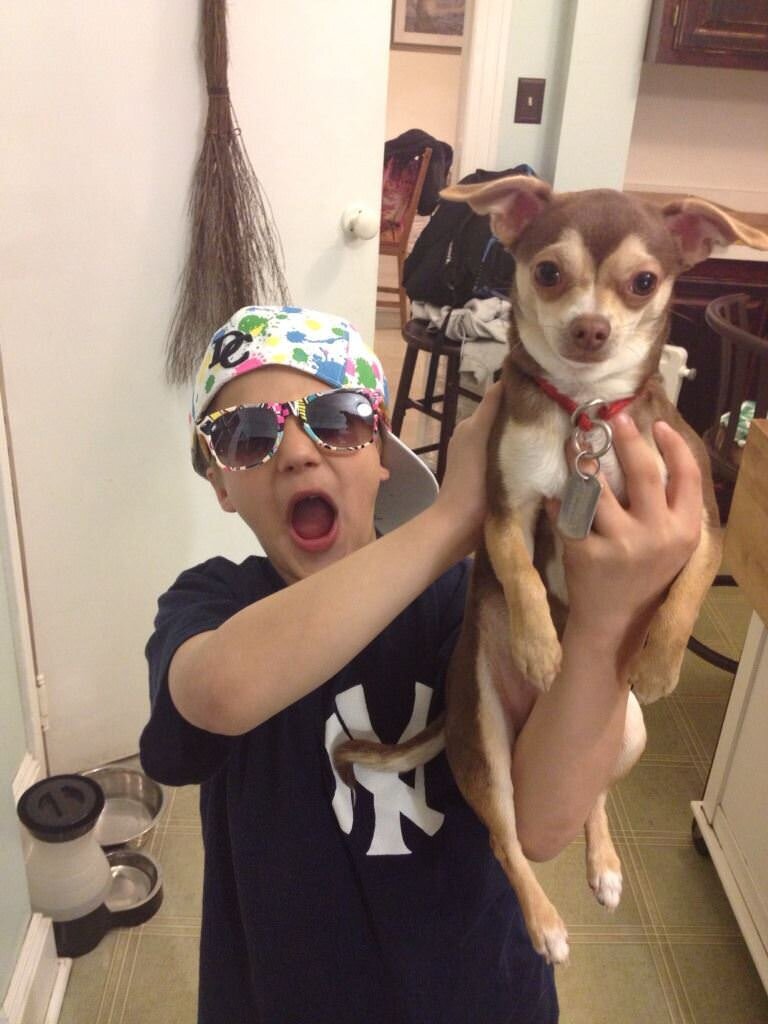 Fun family portrait of Alex Kaplan’s son holding Cheech the dog, part of the story behind NJ wedding photographer Alex Kaplan.