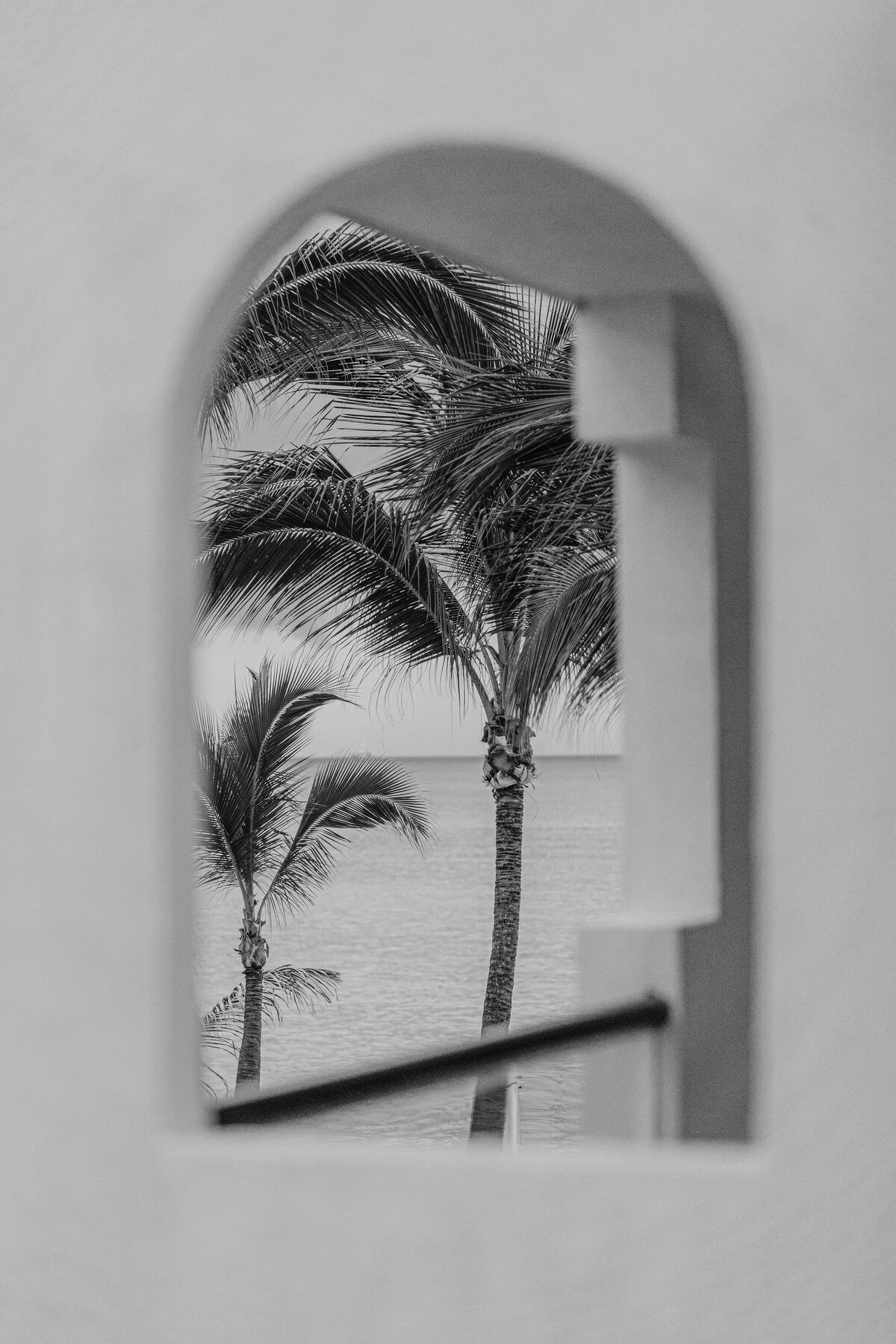 miguel-hernandez-MxTFmj8jWUQ-unsplash