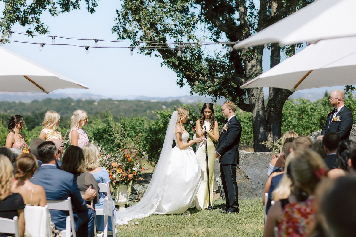 0060_gretchen_gause_photo_healdsburg_wedding_arista_winery_ceremony_blue_sky_2024-