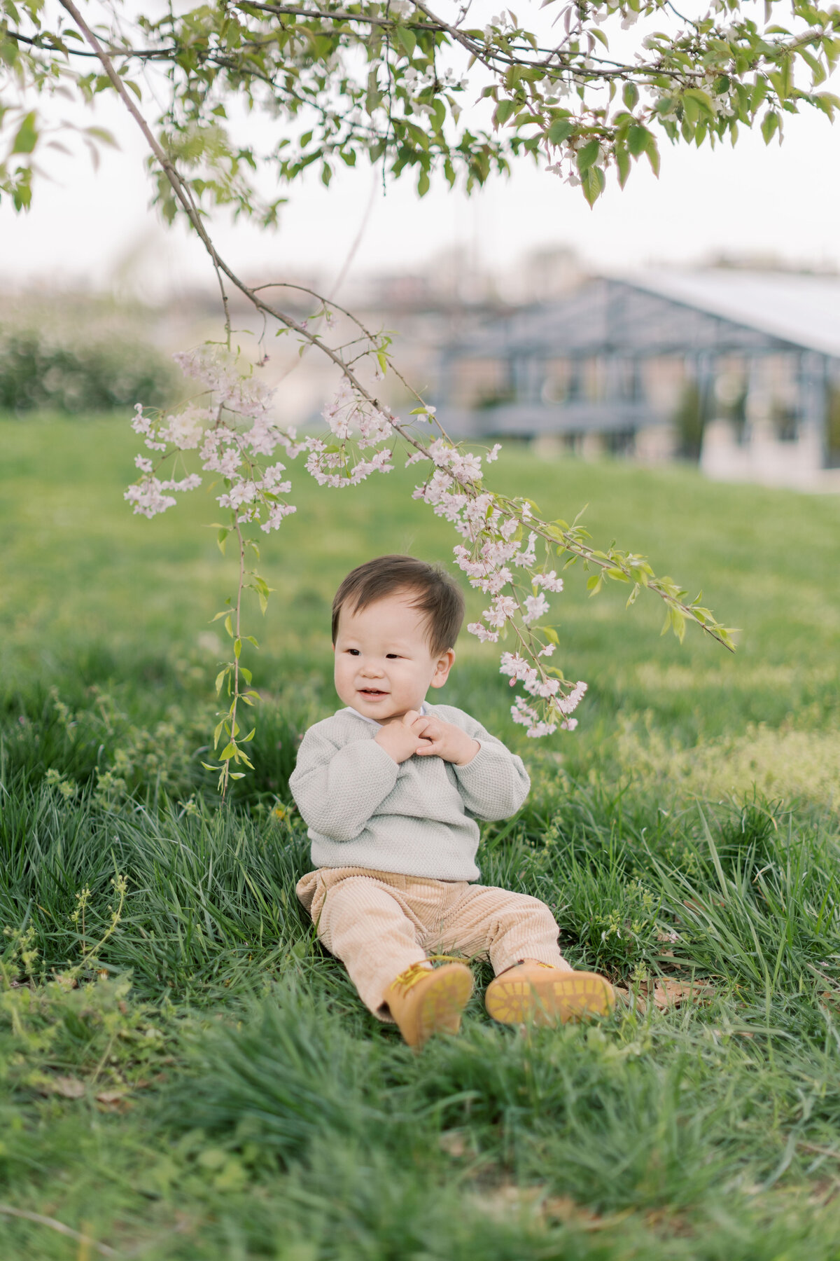 Philadelphia family portraits - 7