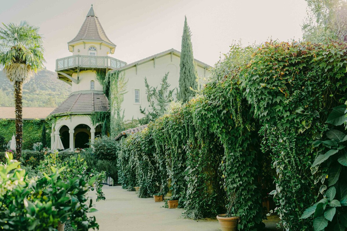 chateau st jean wedding sonoma california wine country l hewitt photography (7)