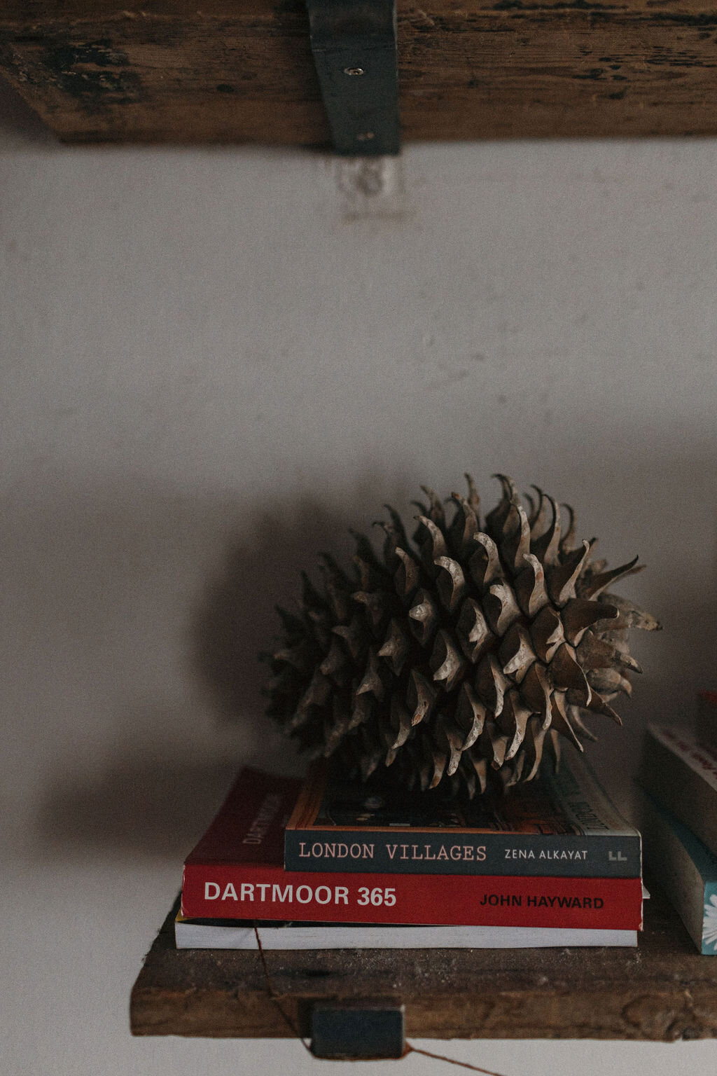 Pine cone at home