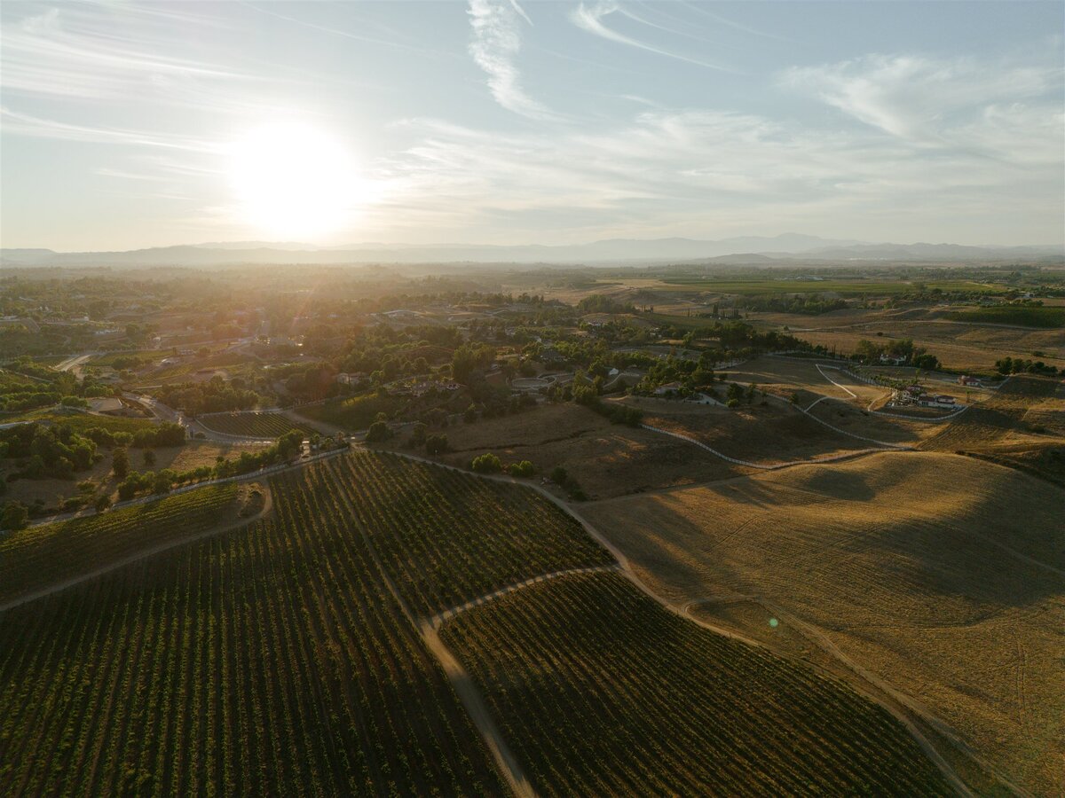 film-temecula-vineyard-wedding-hanna-walkowaik-photography-0288