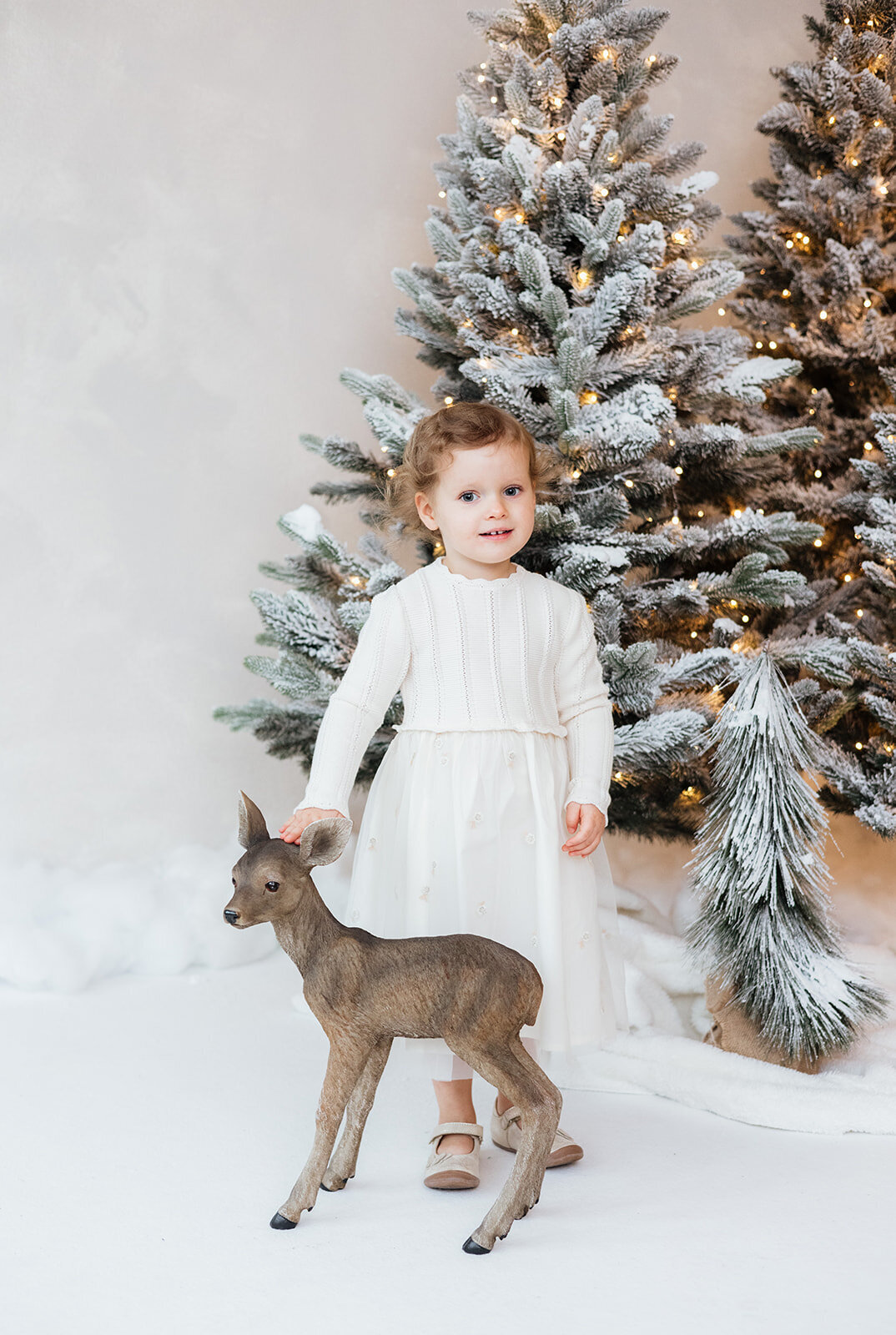 Christmas-photo-session-zug