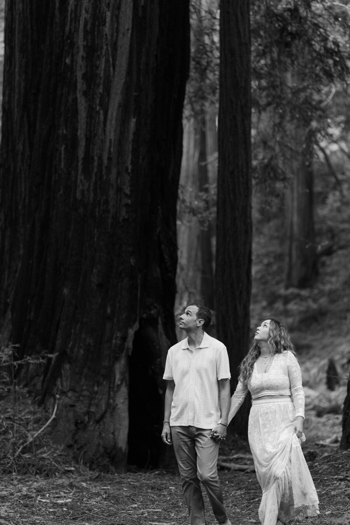 Redwoods-Elopement-73