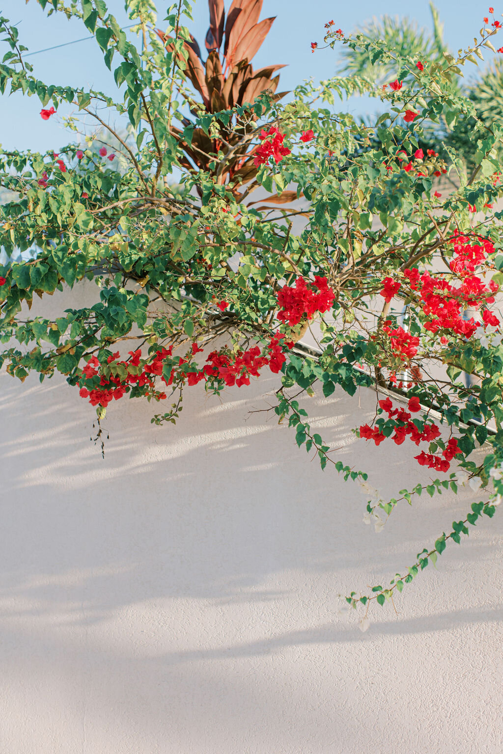 Royalton St. Lucia Destination Wedding in the Caribbean | Adela Antal Photography