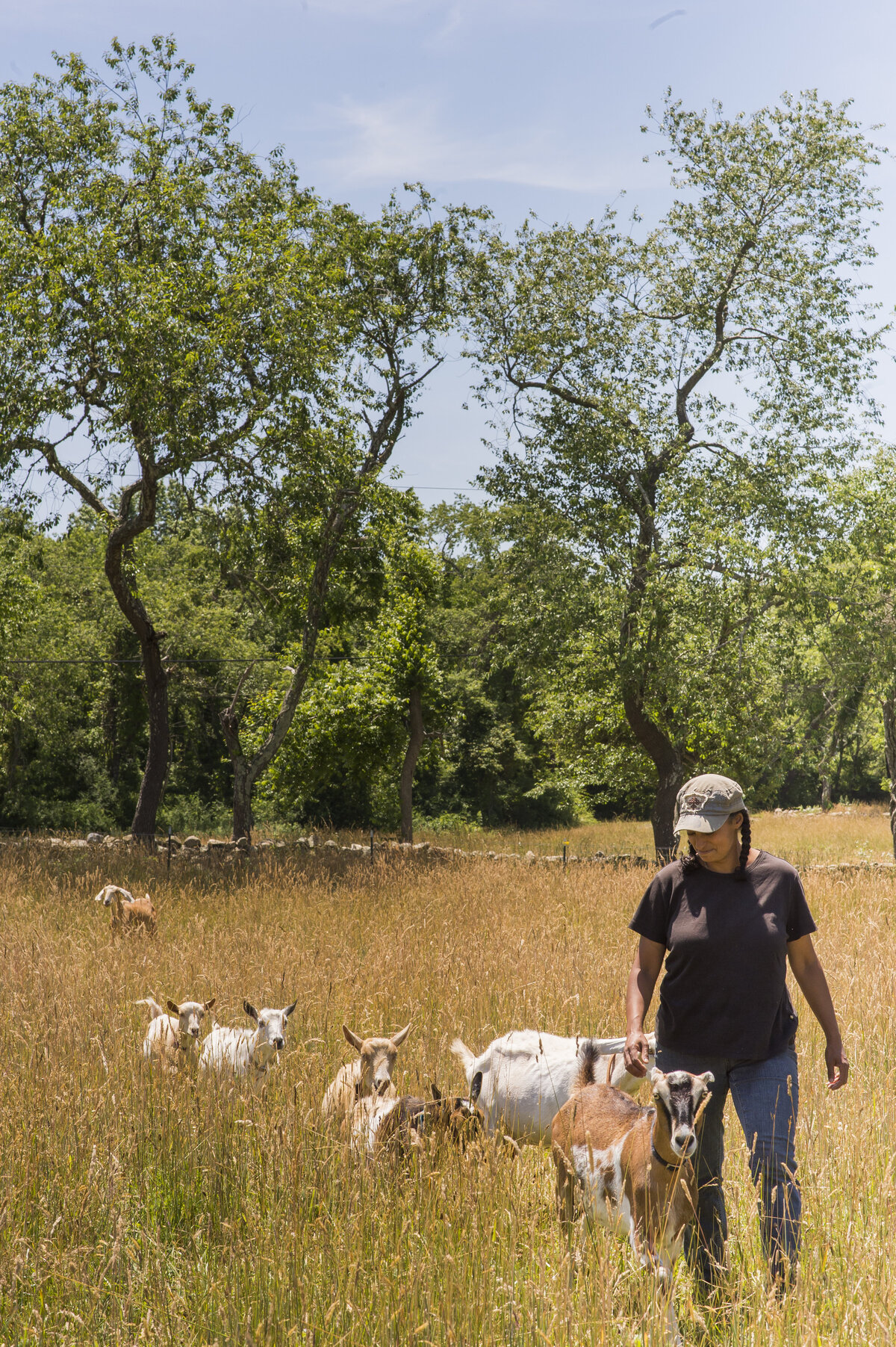 SilkTreeFarm_06-27-2016_staceydoylephotography-75