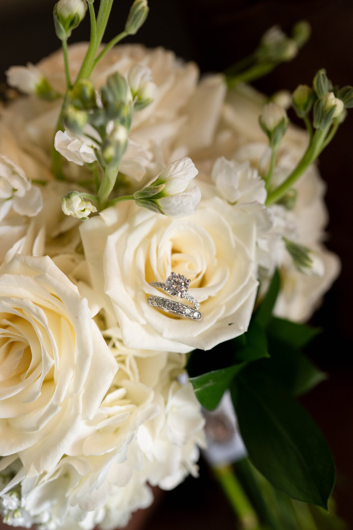 A detailed photos of wedding rings place inside the bride's bouquet at the Adelphi Hotel in Saratoga Springs, NY.